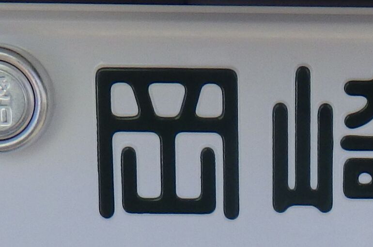 RIMG0010